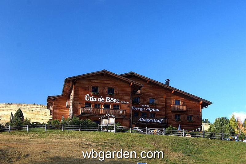 wbgarden alps 41.JPG